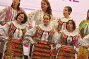 Euterpe