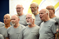 Odins Ravens
